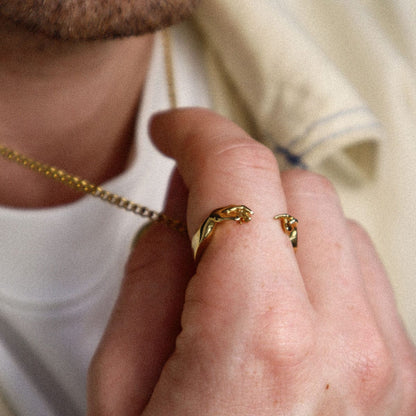 Creation of Adam Ring